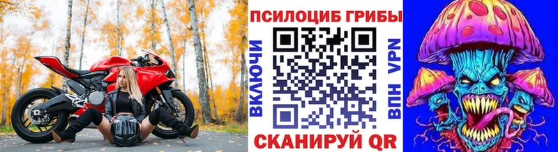 Псилоцибиновые грибы GOLDEN TEACHER  Купить  Удачный 